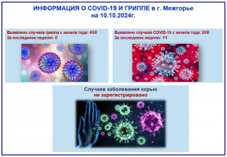 ИНФОРМАЦИЯ О COVID-19 И ГРИППЕ в г. Межгорье на 10.10.2024г.