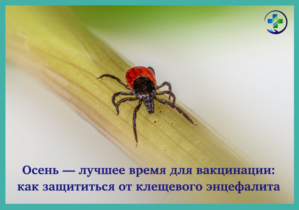 Осень – лучшее время для вакцинации: