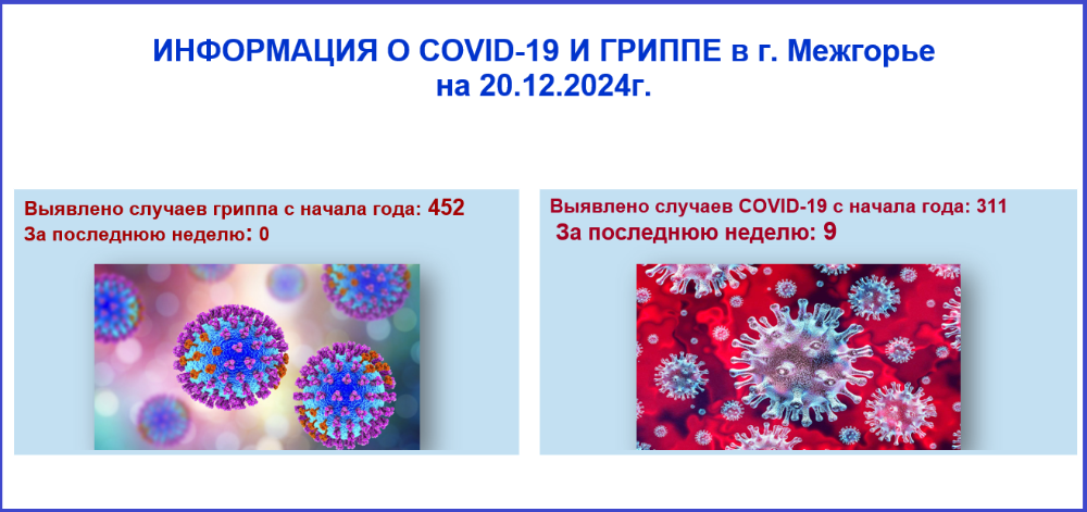 Информация о ковид-19 и гриппе в г. Межгорье на 20.12.2024 г.