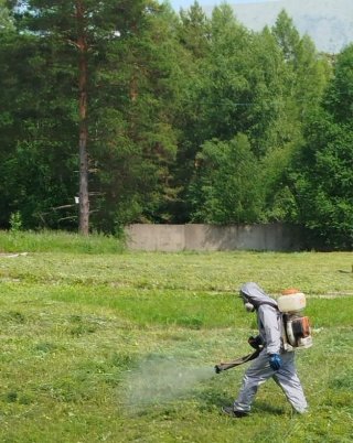 Внимание: акарицидная обработка