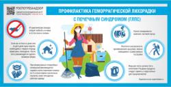 Профилактика гемморагической лихорадки с почечным синдромом
