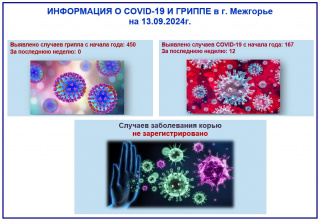 ИНФОРМАЦИЯ О COVID-19 И ГРИППЕ в г. Межгорье на 13.09.2024г.