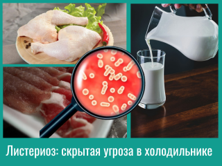 Листериоз: скрытая угроза в холодильнике