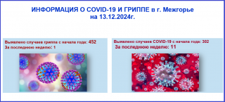 Информация о ковид-19 и гриппе в г. Межгорье на 13.12.2024 г.