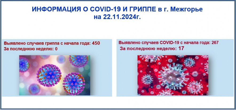 Информация о ковид-19 и гриппе в г. Межгорье на 22.11.2024 г.