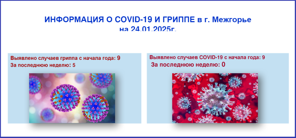 Информация о ковид-19 и гриппе в г. Межгорье на 24.01.2025 г.