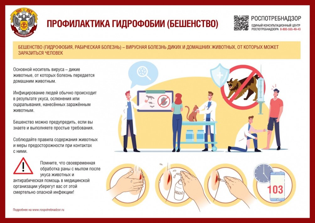 Бешенство - неизлечимое инфекционное заболевание!