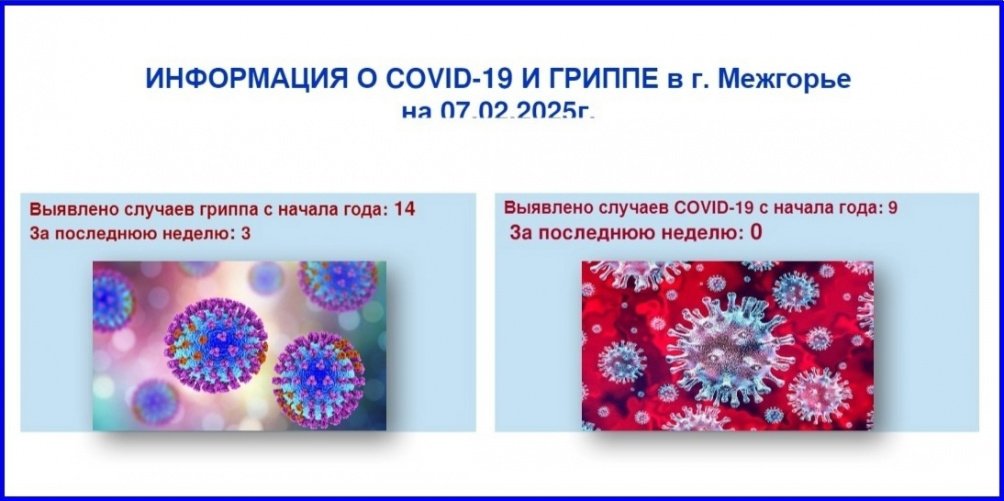 Информация о ковид-19 и гриппе в г. Межгорье на 07.02.2025 г.