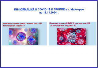 Информация о Ковид-19 и гриппе в г. Межгорье на 15.11.2024 г