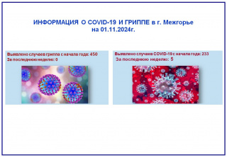 ИНФОРМАЦИЯ О COVID-19 И ГРИППЕ в г. Межгорье на 01.11.2024г.