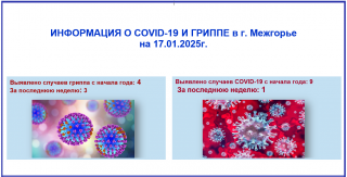 Информация о ковид-19 и гриппе в г. Межгорье на 17.01.2025 г. 