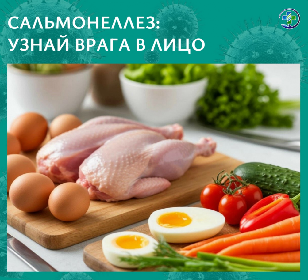 Сальмонеллёз: чем коварна бактерия